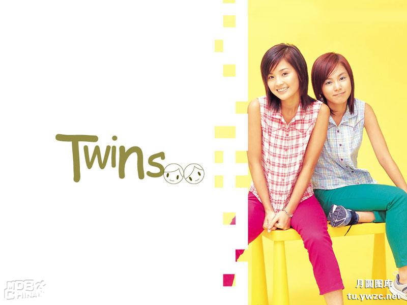 Twins25947