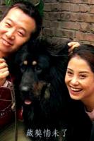 藏獒情未了58298