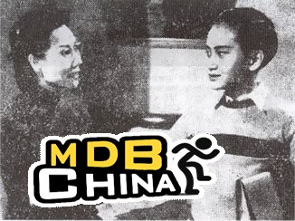 孤雛淚20006