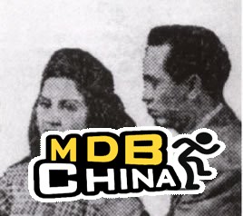 情淚種情花18983