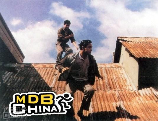 阿飛正傳7595